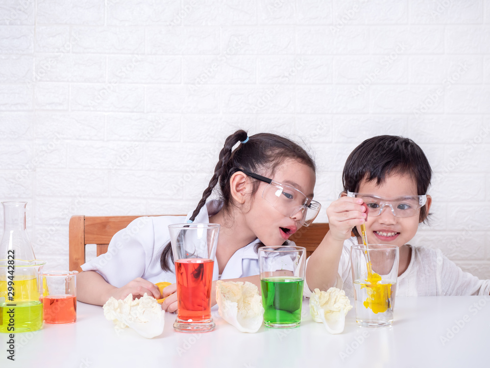 Two little asian cute girl role playing a scientist. The experiment of water transpote with colors into cabbge. The first step, dropping food coloring into the water. Learning and education of kid. Two little asian cute girl role playing a scientist. The experiment of water transpote with colors into cabbge. The first step, dropping food coloring into the water. Learning and education of kid.