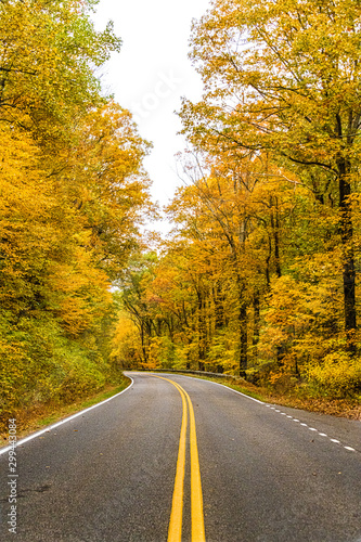 Roadway into Autumn
