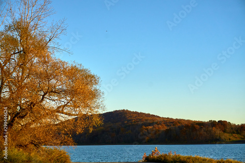 Colorful tree overlooking lake and a hill in late autumn  