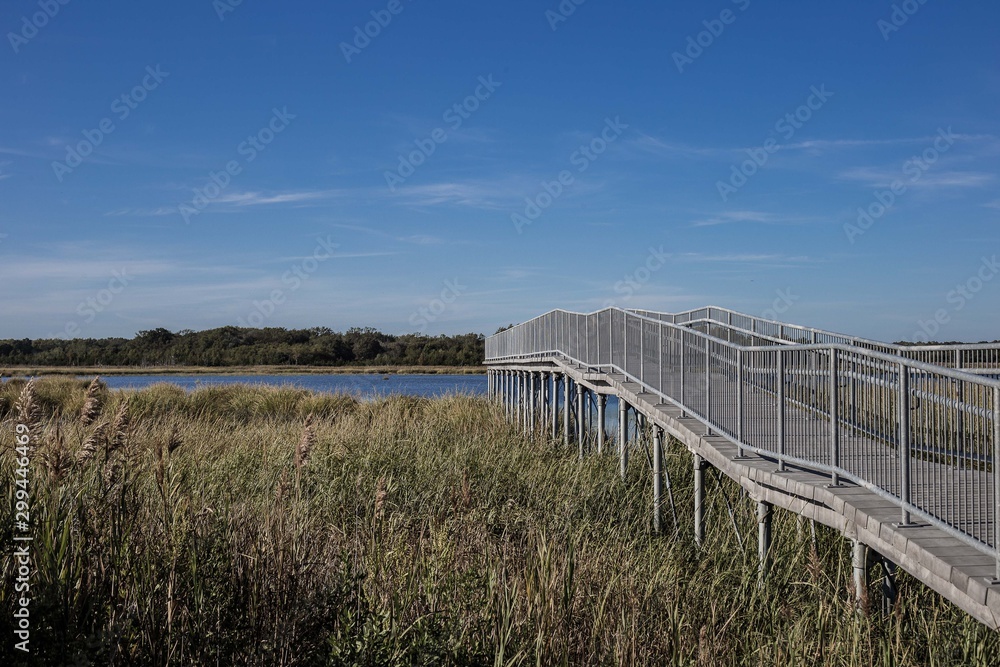 wetland wooden bridge