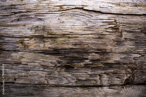Texture of light, old wood. color straw with a gray tinge