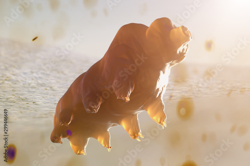 Fotografie Tardigrada on light background 3D render