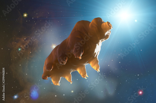 Tardigrada in space 3D render photo