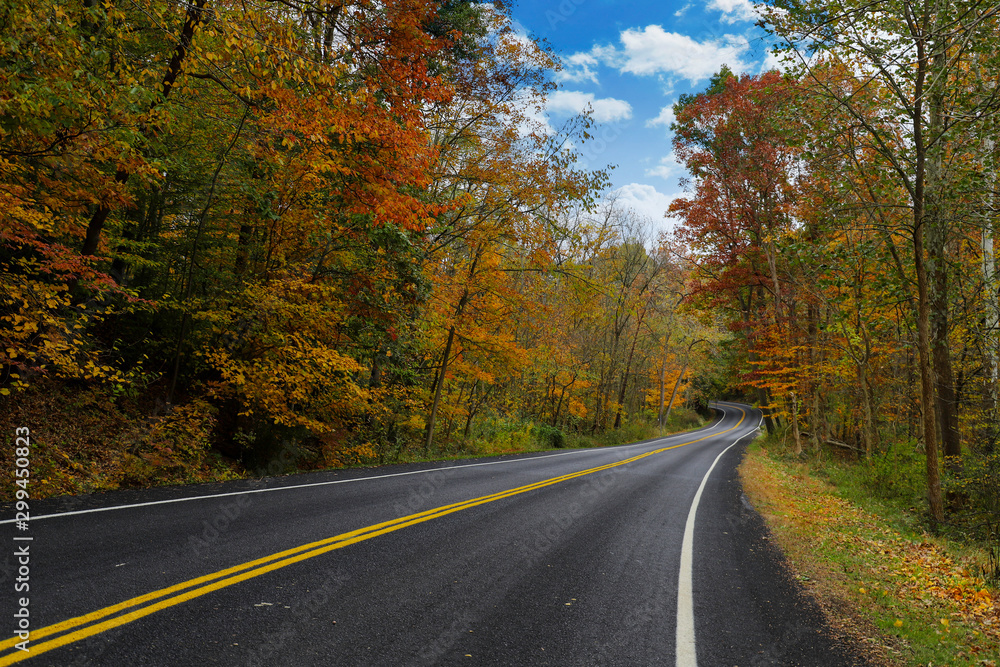 Obraz premium road in autumn