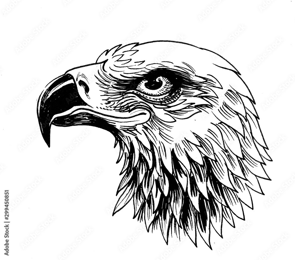 Obraz premium Eagle head. Ink black and white drawing