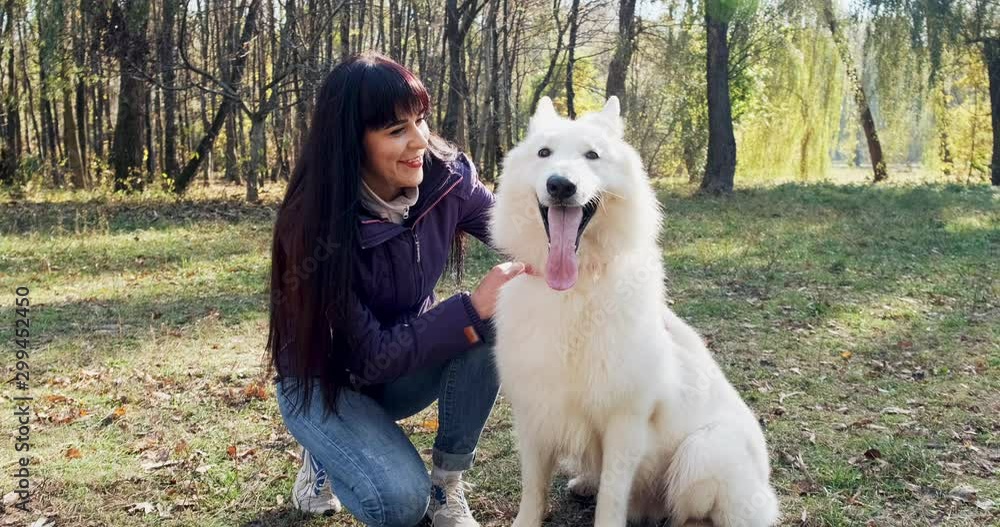 Happy female cheerfully playing and sitting with dog in the autumn park. Love and friendship with domestic animal. White Shepherd Happy female cheerfully playing and sitting with dog in the autumn park. Love and friendship with domestic animal. White Shepherd