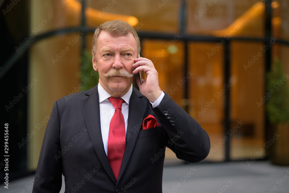 Handsome senior businessman with mustache using phone in the city