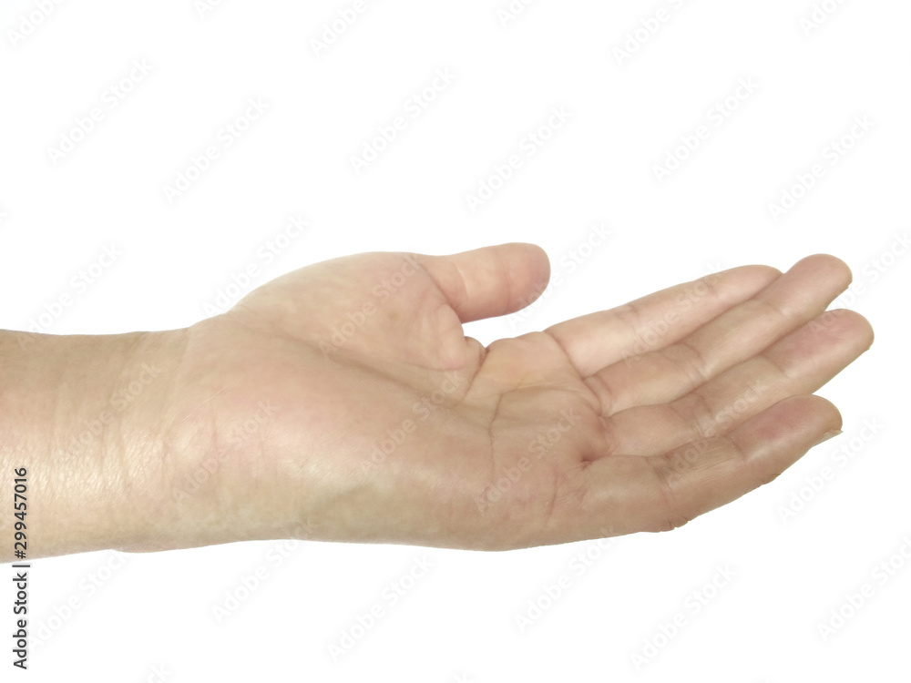 hand isolated on white background hand isolated on white background