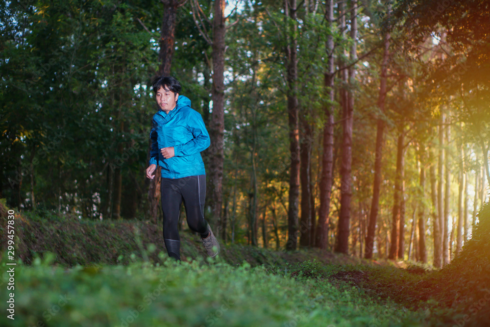 The runner running in the forest The runner running in the forest