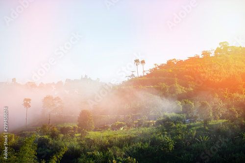 Sunrise village thailand with foggy landscape mountains misty forest with tree and house in the moring winter nature - View of foggy house on hill countryside