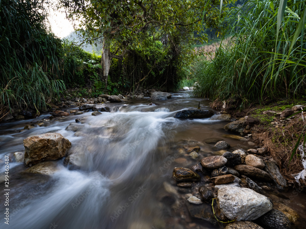 Water creates life for everything on earth Water creates life for everything on earth
