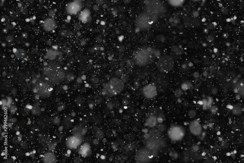 Fototapeta Real Falling Snow at night close-up overlay