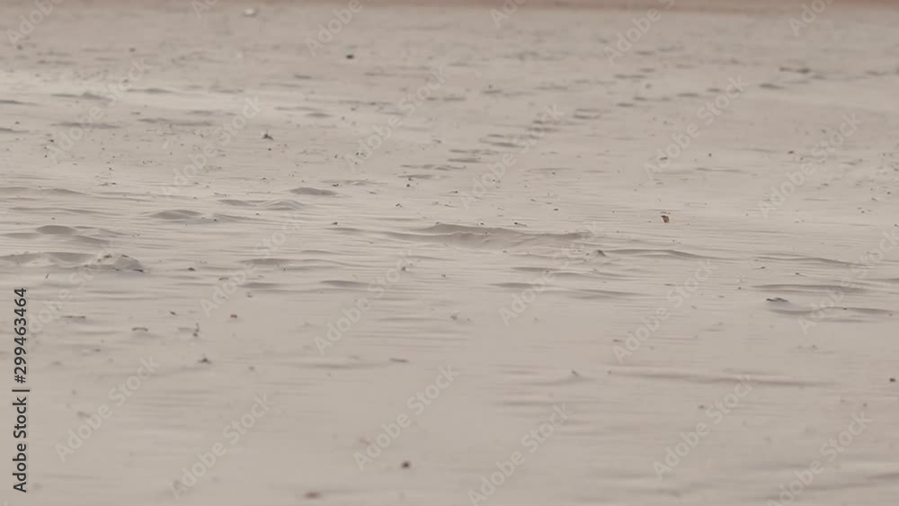Sand and dust in the wind flying over the ground level at the beach blown by the wind. Dune creation and migration Sand and dust in the wind flying over the ground level at the beach blown by the wind. Dune creation and migration