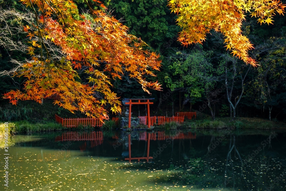 Obraz premium 古都奈良の風景 秋 紅葉 Country scenery Nara Japan