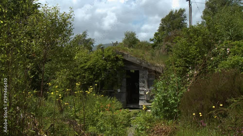 Wide shot of a small, rustic, wooden cabin tucked away behind countless wildflowers, and set beneath a grassy roof Wide shot of a small, rustic, wooden cabin tucked away behind countless wildflowers, and set beneath a grassy roof