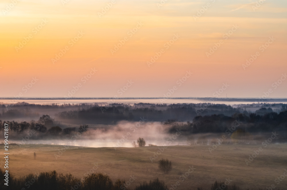 The morning mists in the forest, illuminated by the morning sun, are colored orange. Autumn landscape in fog. The morning mists in the forest, illuminated by the morning sun, are colored orange. Autumn landscape in fog.