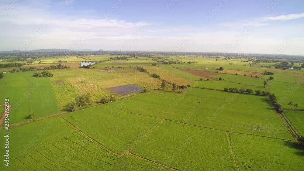 Vdo. Aerial view above green rice paddy fields plantation with many clouds and blue sky background, Lam Phayom District in Ban Pong, Ratchabur i- Kanchanaburi, western of Thailand. Vdo. Aerial view above green rice paddy fields plantation with many clouds and blue sky background, Lam Phayom District in Ban Pong, Ratchabur i- Kanchanaburi, western of Thailand.