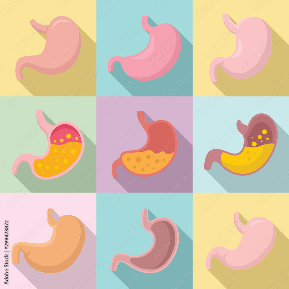 Stomach icons set. Flat set of stomach vector icons for web design