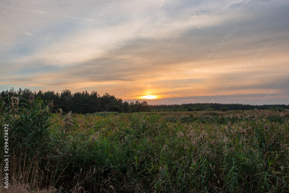 Naklejka premium Autumn