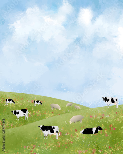 牛：牛 牧草 北海道 酪農 農業 放牧 草 水彩 青空 放牧