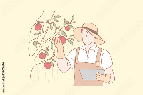 Gardener harvesting apples concept. Male farmer checking red ripe fruits, orchard worker, agronomist analyzing organic produce quality, agricultural industry seasonal work. Simple flat vector