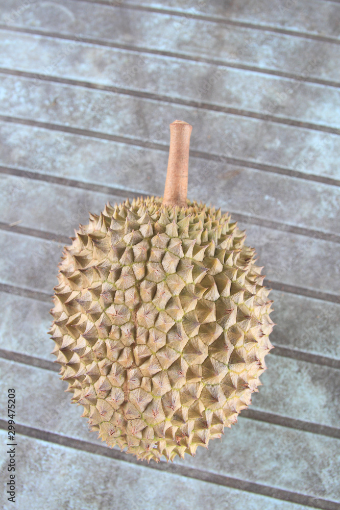 Fresh durian. King of fruit From the garden Fresh durian. King of fruit From the garden