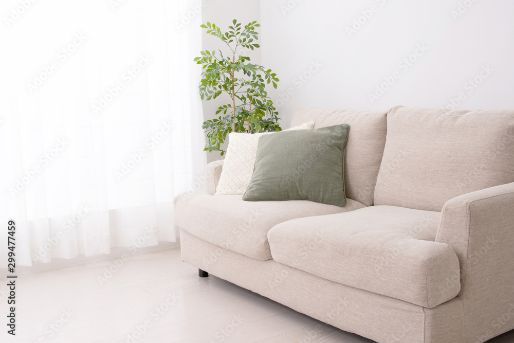 ソファと観葉植物