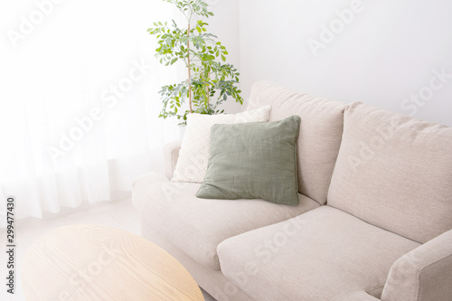 ソファと観葉植物