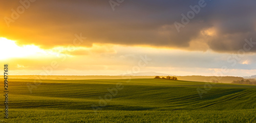 Fototapeta Naklejka Na Ścianę i Meble -  hazy rural evening landscape with golden light and grey hills in the background and field with fresh green in foreground