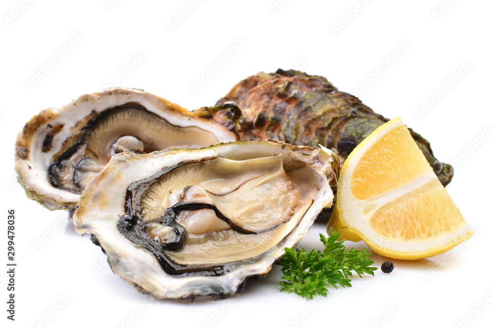 Oysters on a white background with lemon Oysters on a white background with lemon