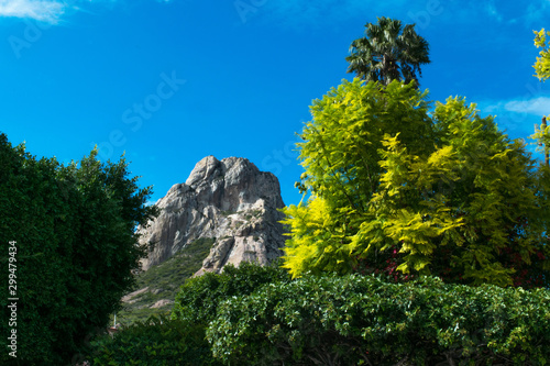 peña de bernal, large monolith in mexico surrounded by nearby vegetation