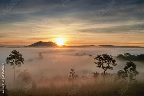Mountain view misty morning on meadow around with sea of fog  peak mountain and yellow light light in cloudy sky background  sunrise at Thung Salang Luang National Park  Khao Kho  Phetchabun  Thailand