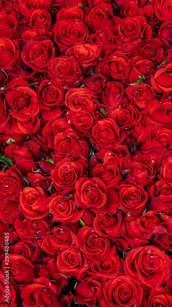 seamless background with red roses - obrazy, fototapety, plakaty 