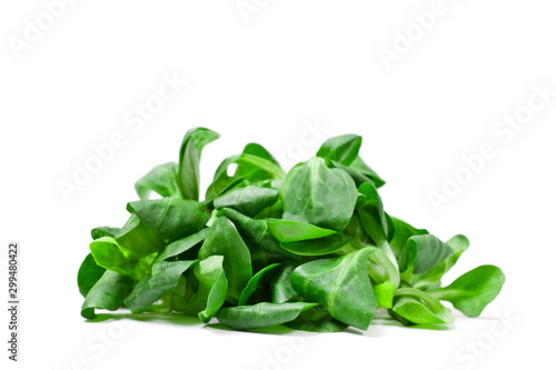 Fresh juicy green corn salad isolated on white background