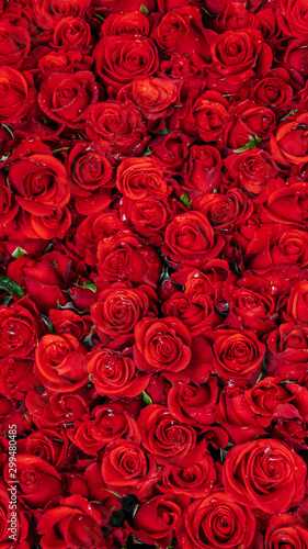 Fototapeta Naklejka Na Ścianę i Meble -  seamless background with red roses