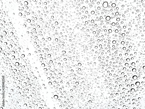 Abstract of water droplets on the glass with white background.
