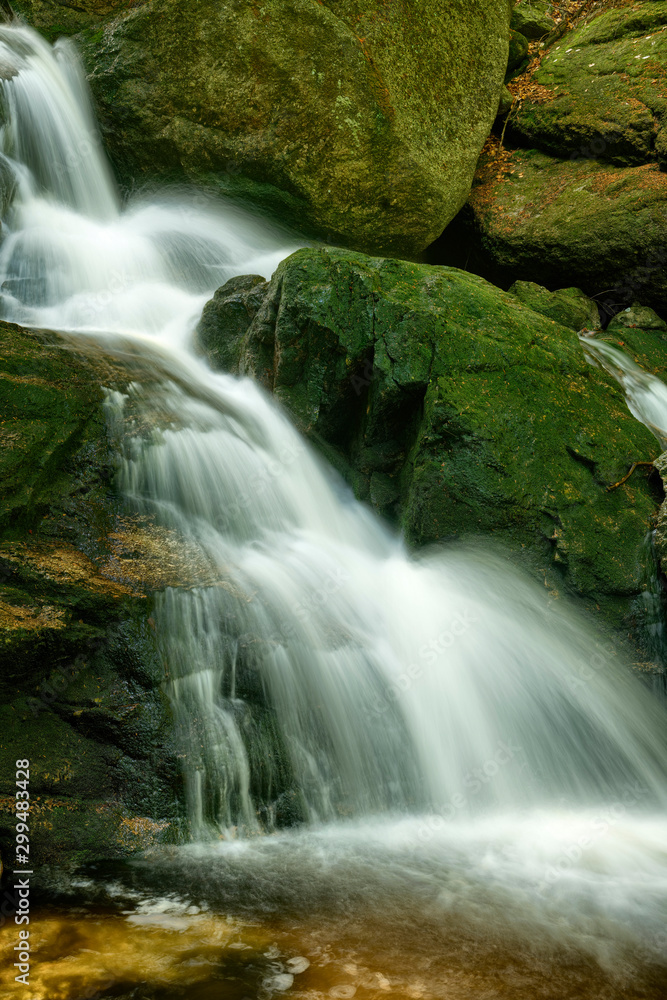 Fototapeta premium Maly Falls in super green forest surroundings, Czech Republic