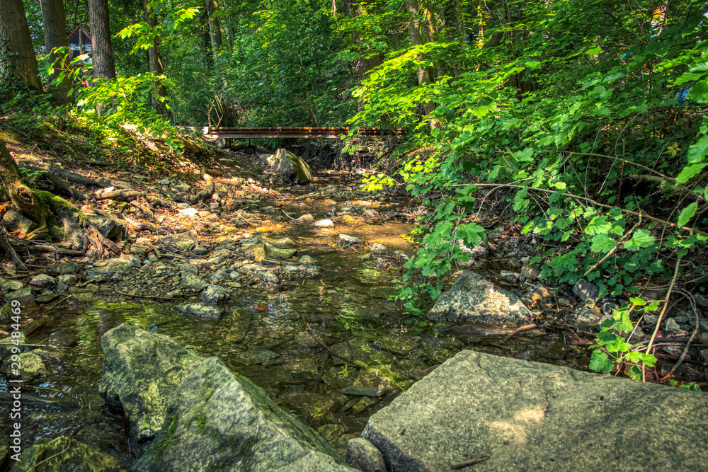 A mountain stream in the forest A mountain stream in the forest