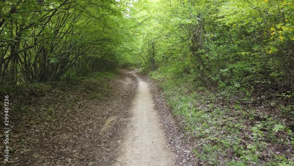 Personal perspective of walking on a path in the green forest. Trekking on mountain forest Personal perspective of walking on a path in the green forest. Trekking on mountain forest