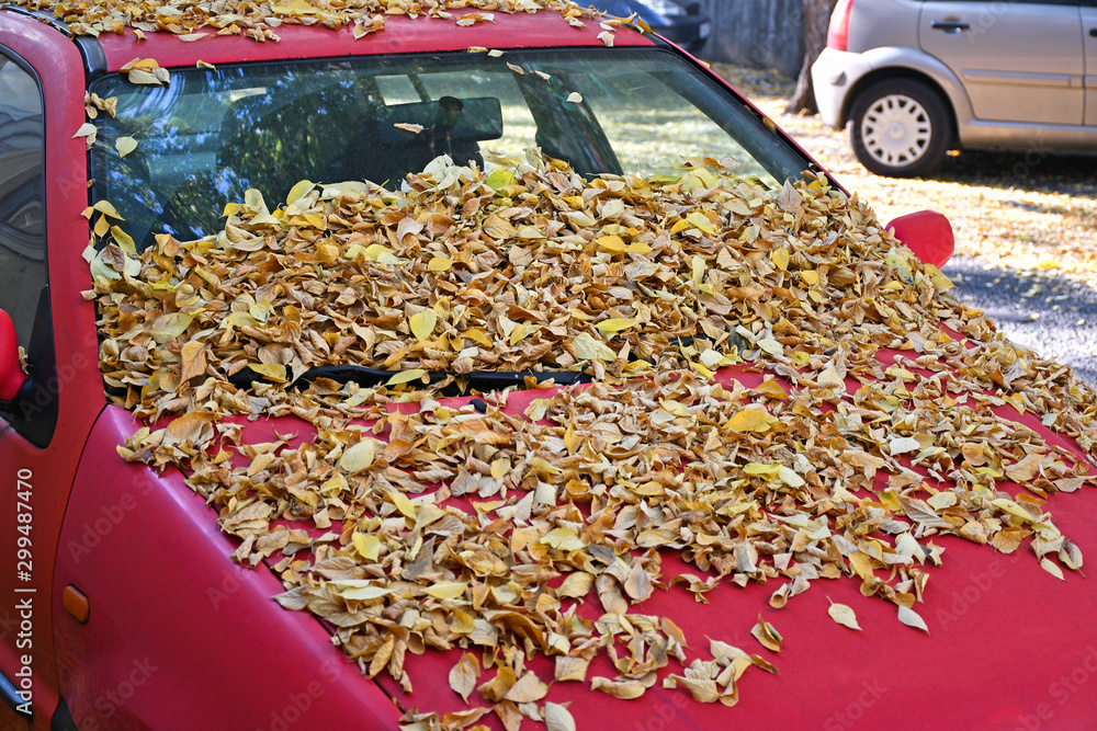 Red car covered with leaves in autumn time