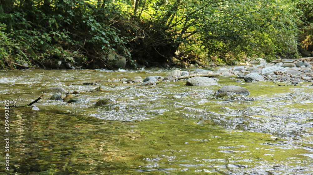 Fiume nel bosco sul sentiero delle meraviglie, Canton Ticino Fiume nel bosco sul sentiero delle meraviglie, Canton Ticino