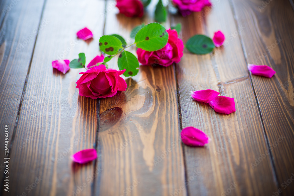 bouquet of beautiful red roses on a white bouquet of beautiful red roses on a white