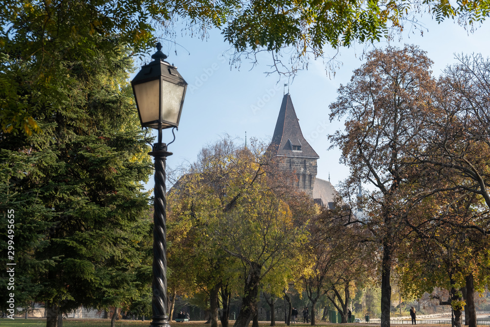 Street light in street of Budapestt