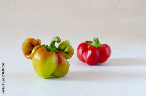 Ugly funny pepper on a white background.