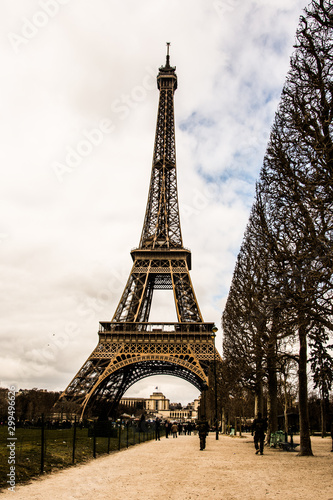 Fototapeta Naklejka Na Ścianę i Meble -  Eiffel tower in afternoon