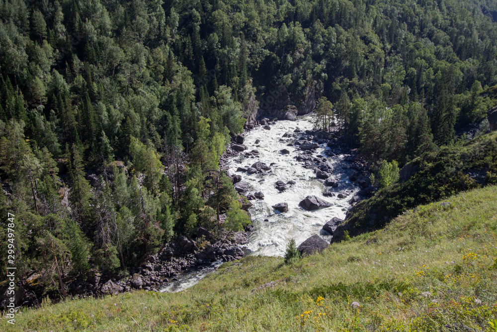 Obraz premium river in the mountains