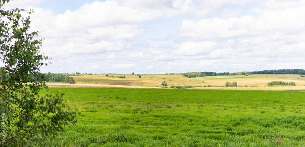 Fototapeta premium Green Fields and yellow meadows in summer in nature and sky