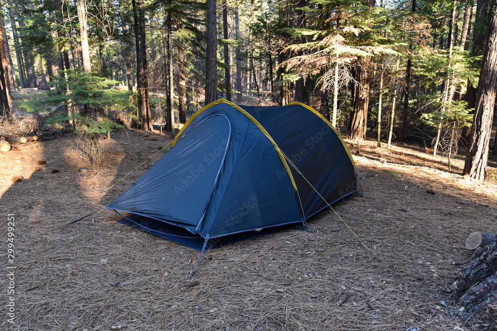 Tent set up in Hogdon Meadow Campground, Yosemite National Park, California, USA.
