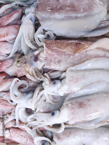 Too soft, fresh squid for sale in the fish market at Thailand, seafood on ice, Squid abstract background, Raw sea Cuttlefish for sale at seafood market use for cook, Vertical