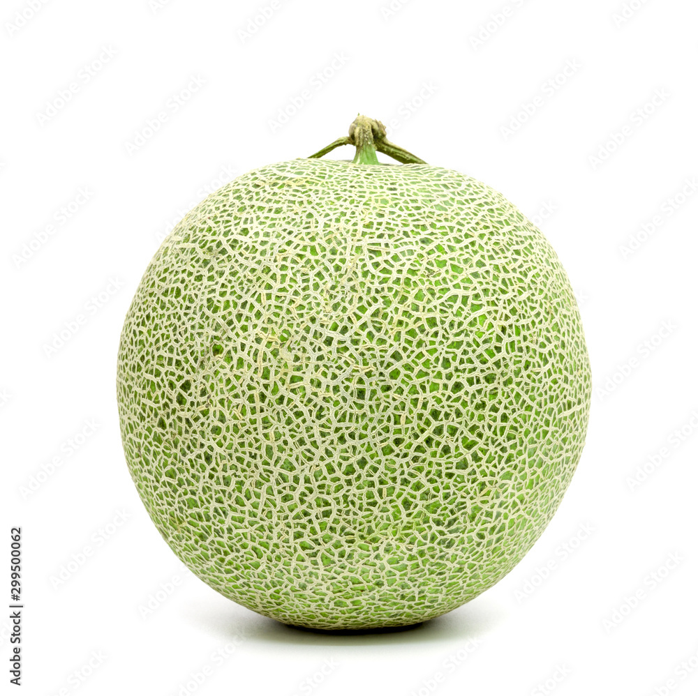 green cantaloupe melon isolated on white background green cantaloupe melon isolated on white background